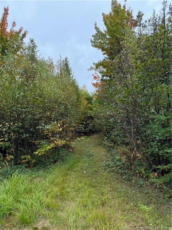 Lot 12-5 Wegesegum Rd, Long Creek, NB