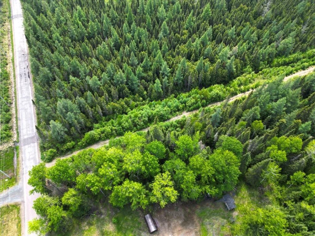 2999 Alice Ave, Thunder Bay, ON