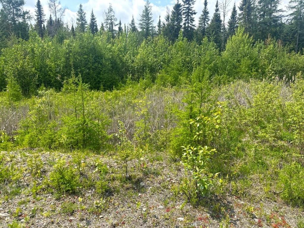 2999 Alice Ave, Thunder Bay, ON