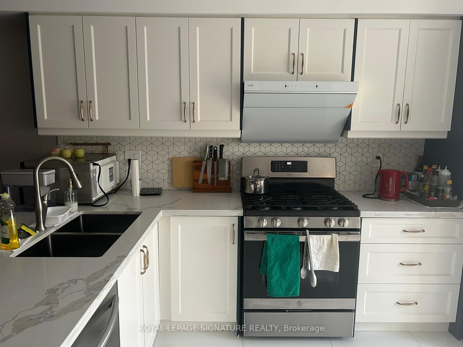 11 Exchequer Place, Toronto, ON - Indoor Photo Showing Kitchen With Double Sink
