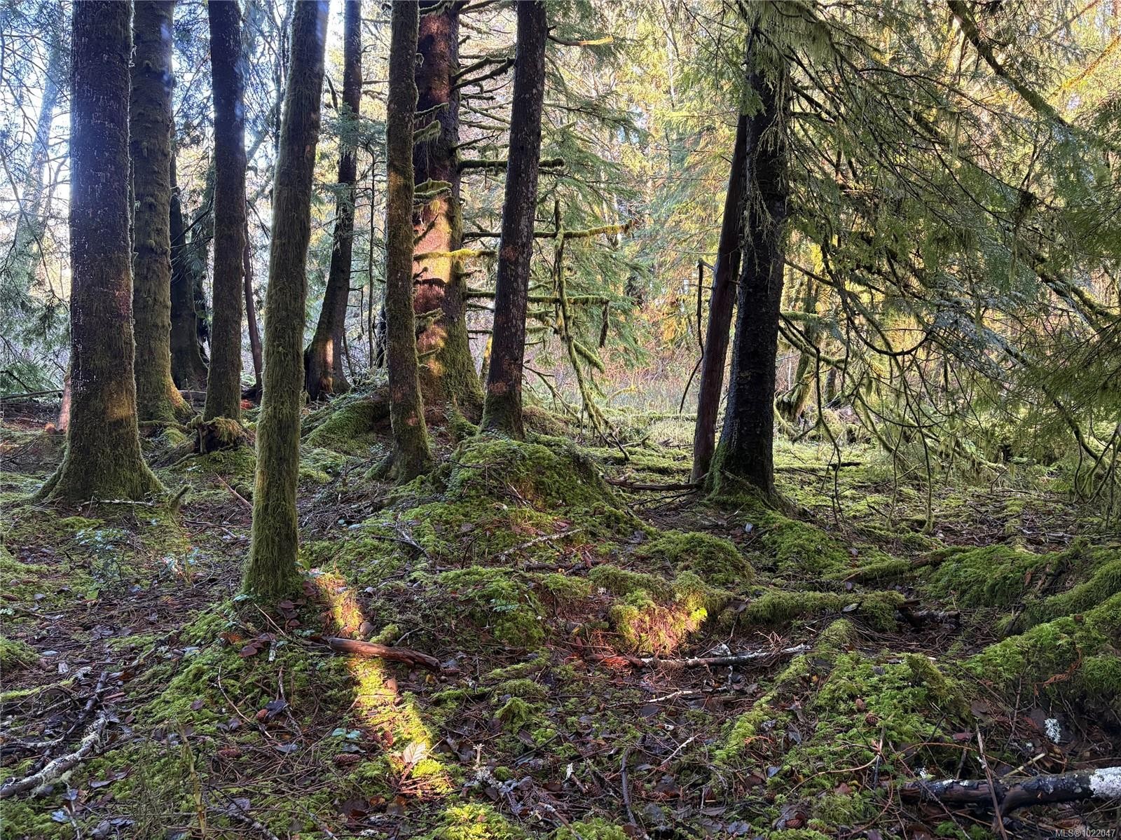 Lot B Highway 16, See Remarks, BC