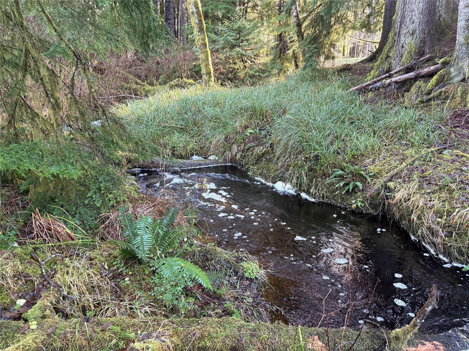 Lot B Highway 16, See Remarks, BC