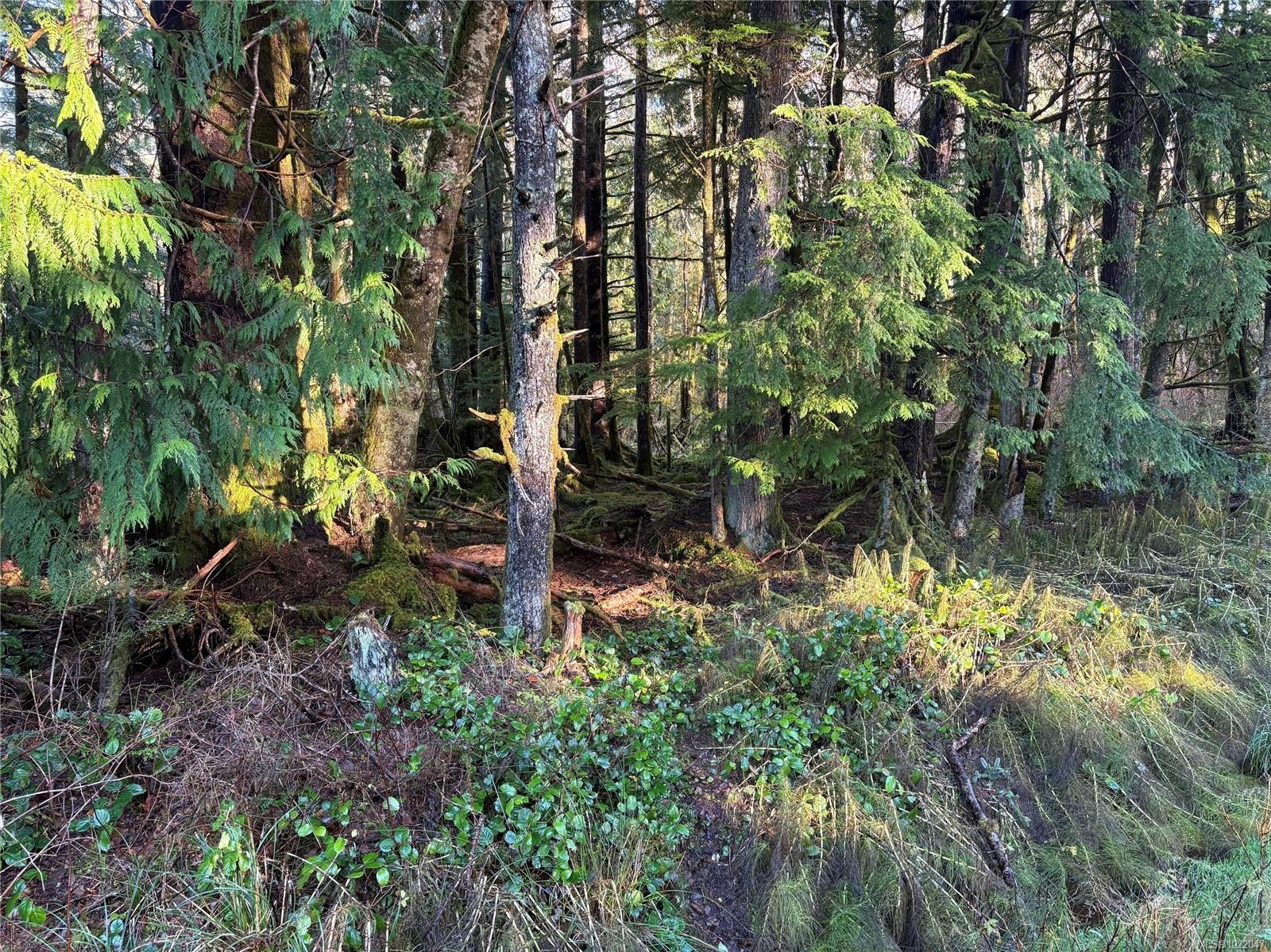 Lot B Highway 16, See Remarks, BC