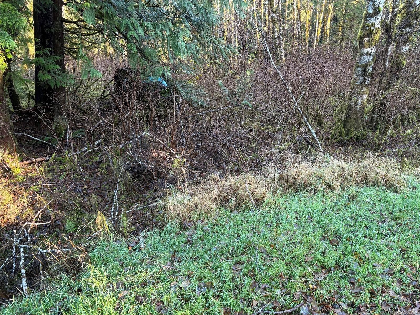 Lot B Highway 16, See Remarks, BC