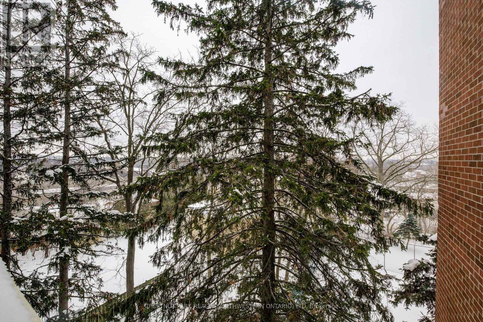 507 - 260 Sheldon Avenue N, Kitchener, ON - Outdoor