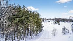 Set privately back from the road -