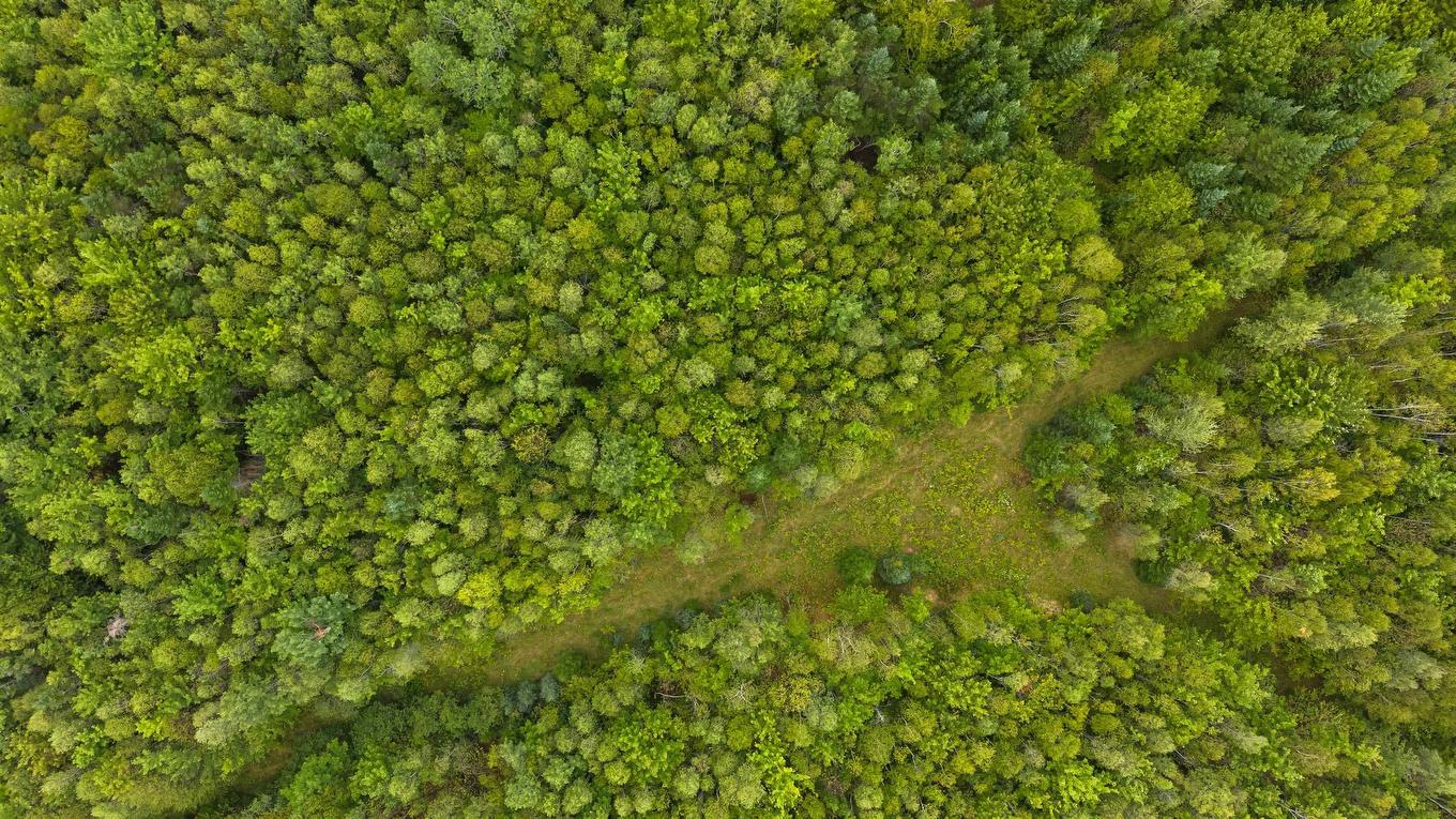 360 Burris Road, Pleasant Valley, NS