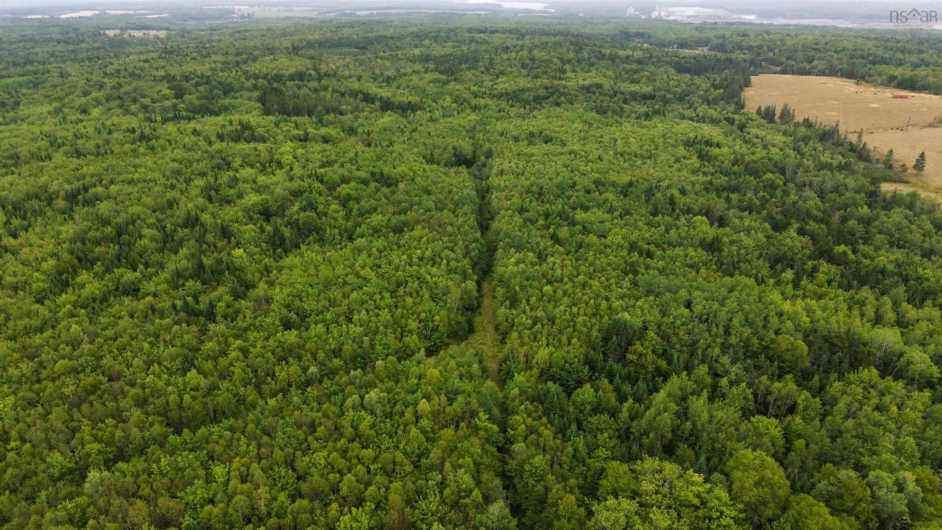 360 Burris Road, Pleasant Valley, NS