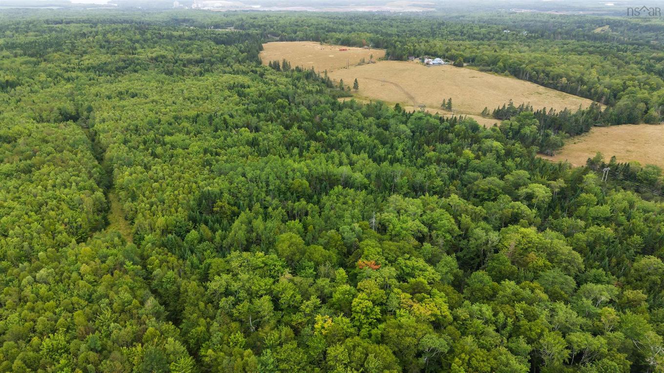 360 Burris Road, Pleasant Valley, NS