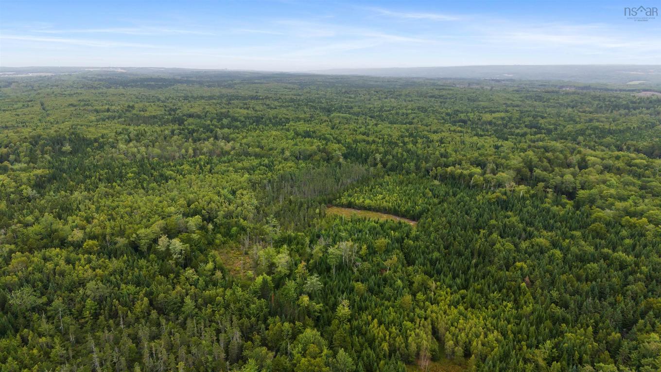 360 Burris Road, Pleasant Valley, NS