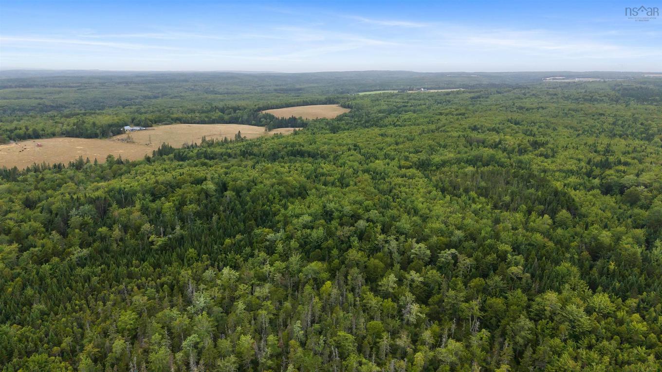 360 Burris Road, Pleasant Valley, NS