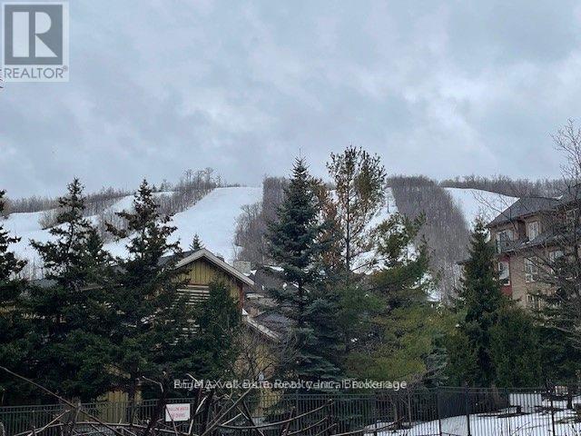 142 - 170 Jozo Weider Boulevard, Blue Mountains, ON - Outdoor With View