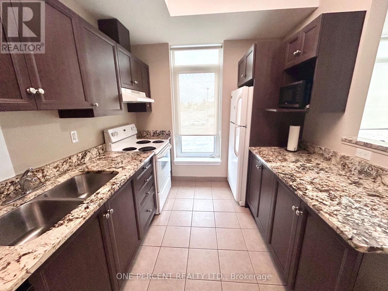 201 - 100 Roger Guindon Avenue, Ottawa, ON - Indoor Photo Showing Kitchen With Double Sink