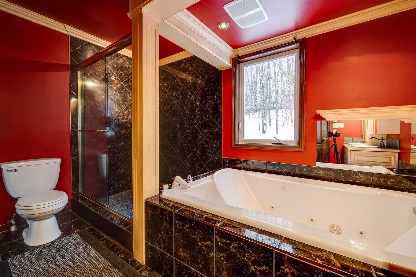 Salle de bains - 17 Ch. Des Lilas, Sainte-Anne-Des-Lacs, QC - Indoor Photo Showing Bathroom