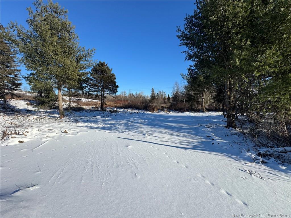 Lot Kingsley Rd, Estey'S Bridge, NB