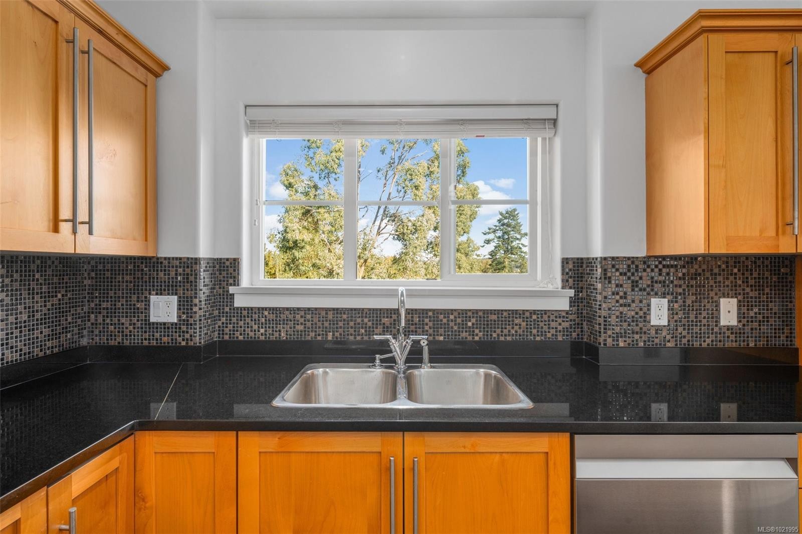 307-3915 Carey Rd, Saanich, BC - Indoor Photo Showing Kitchen With Double Sink