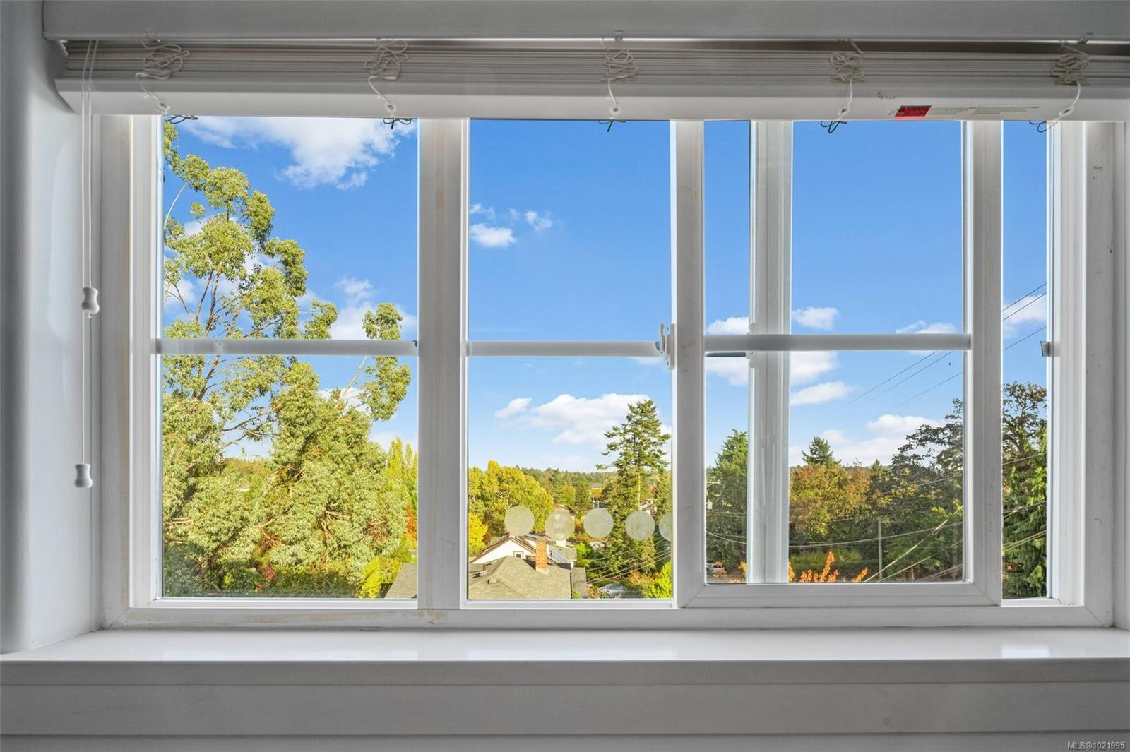 307-3915 Carey Rd, Saanich, BC - Indoor