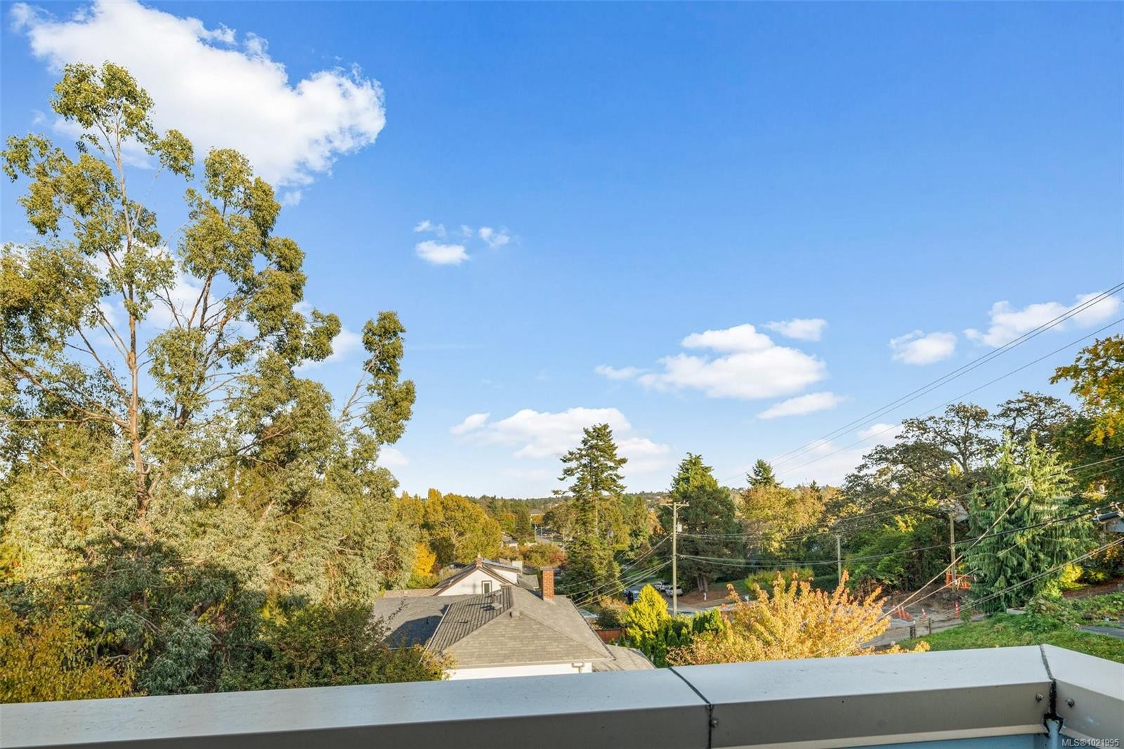 307-3915 Carey Rd, Saanich, BC - Outdoor With View