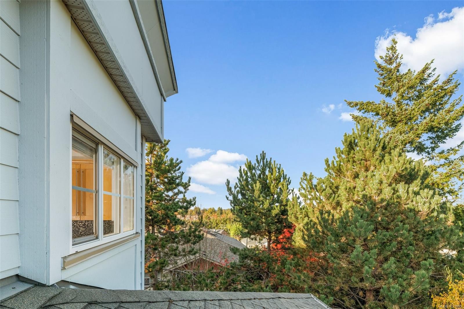 307-3915 Carey Rd, Saanich, BC - Outdoor