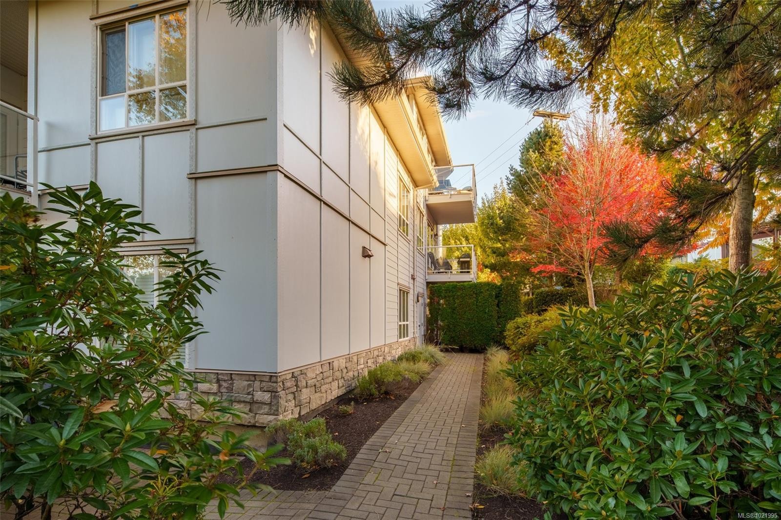 307-3915 Carey Rd, Saanich, BC - Outdoor