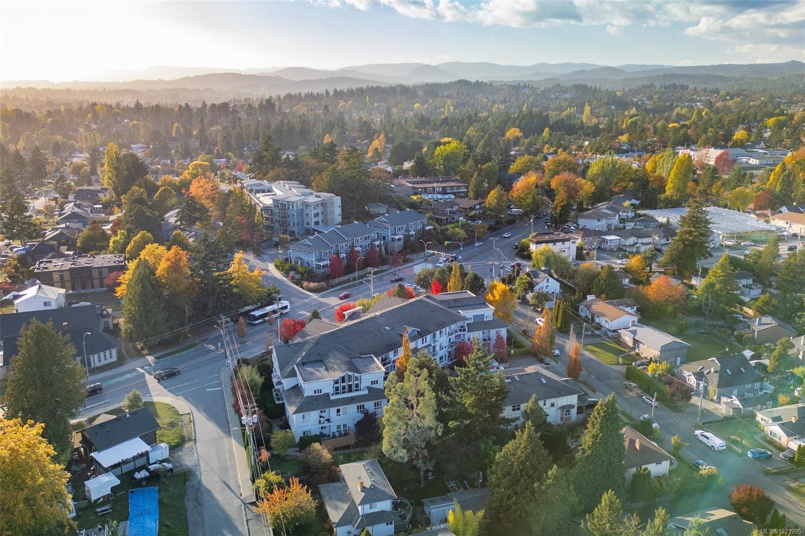 307-3915 Carey Rd, Saanich, BC - Outdoor With View