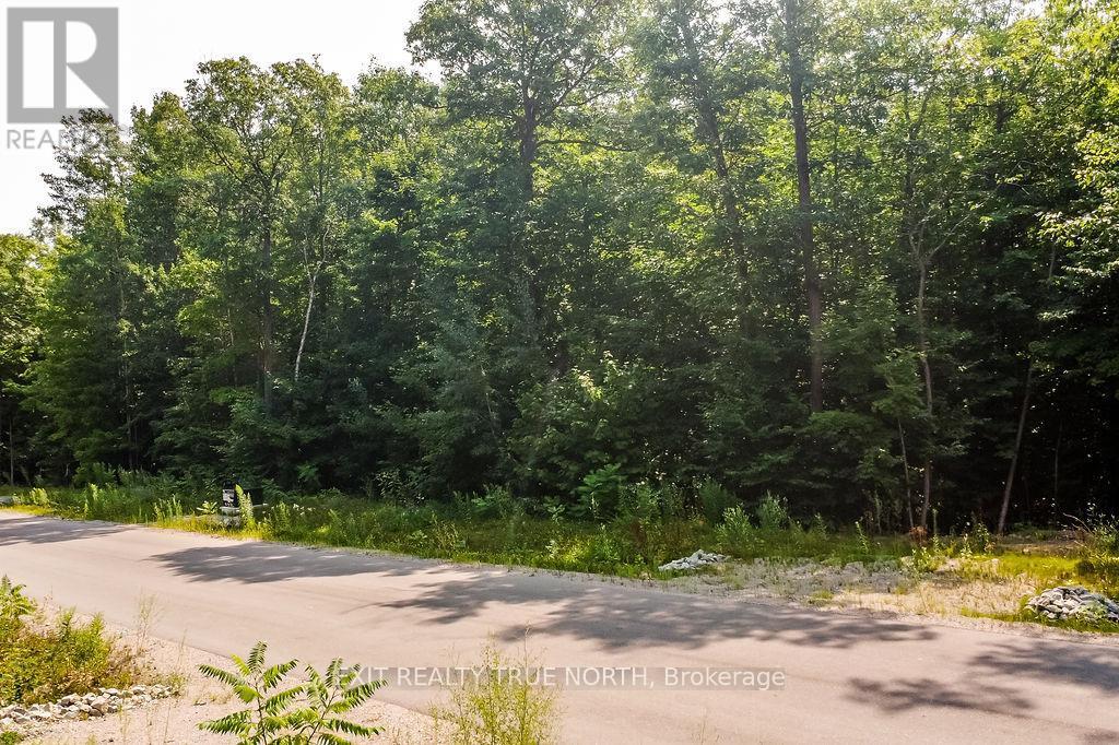 Lt 45 Explorers Landing, Tiny, ON