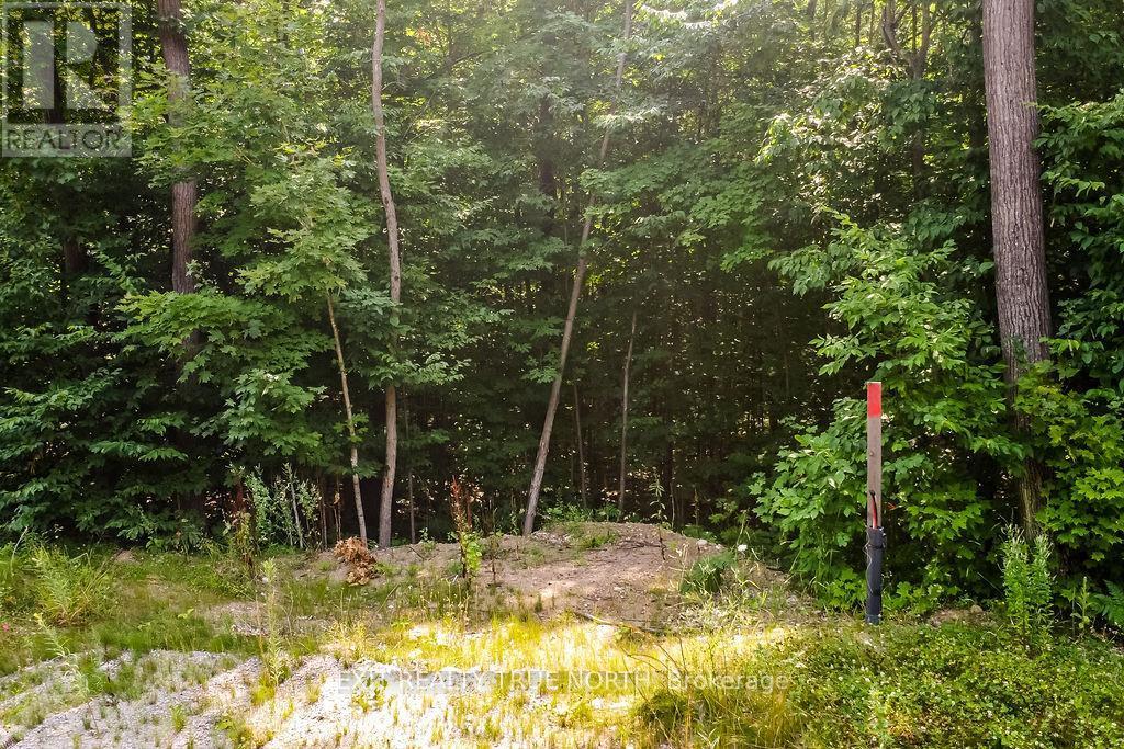 Lt 45 Explorers Landing, Tiny, ON