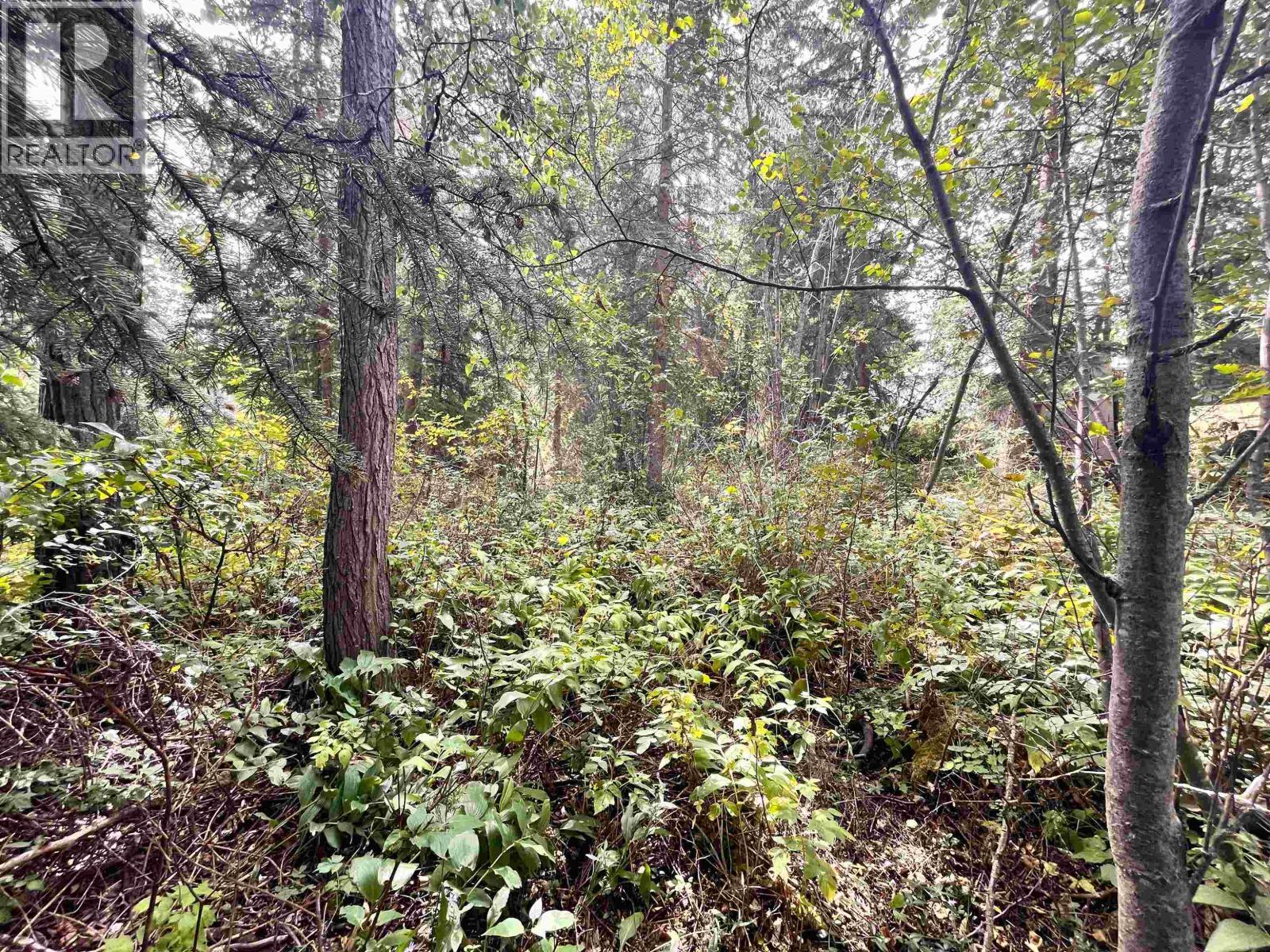 Lot 81 Mulligan Drive, Horse Lake, BC