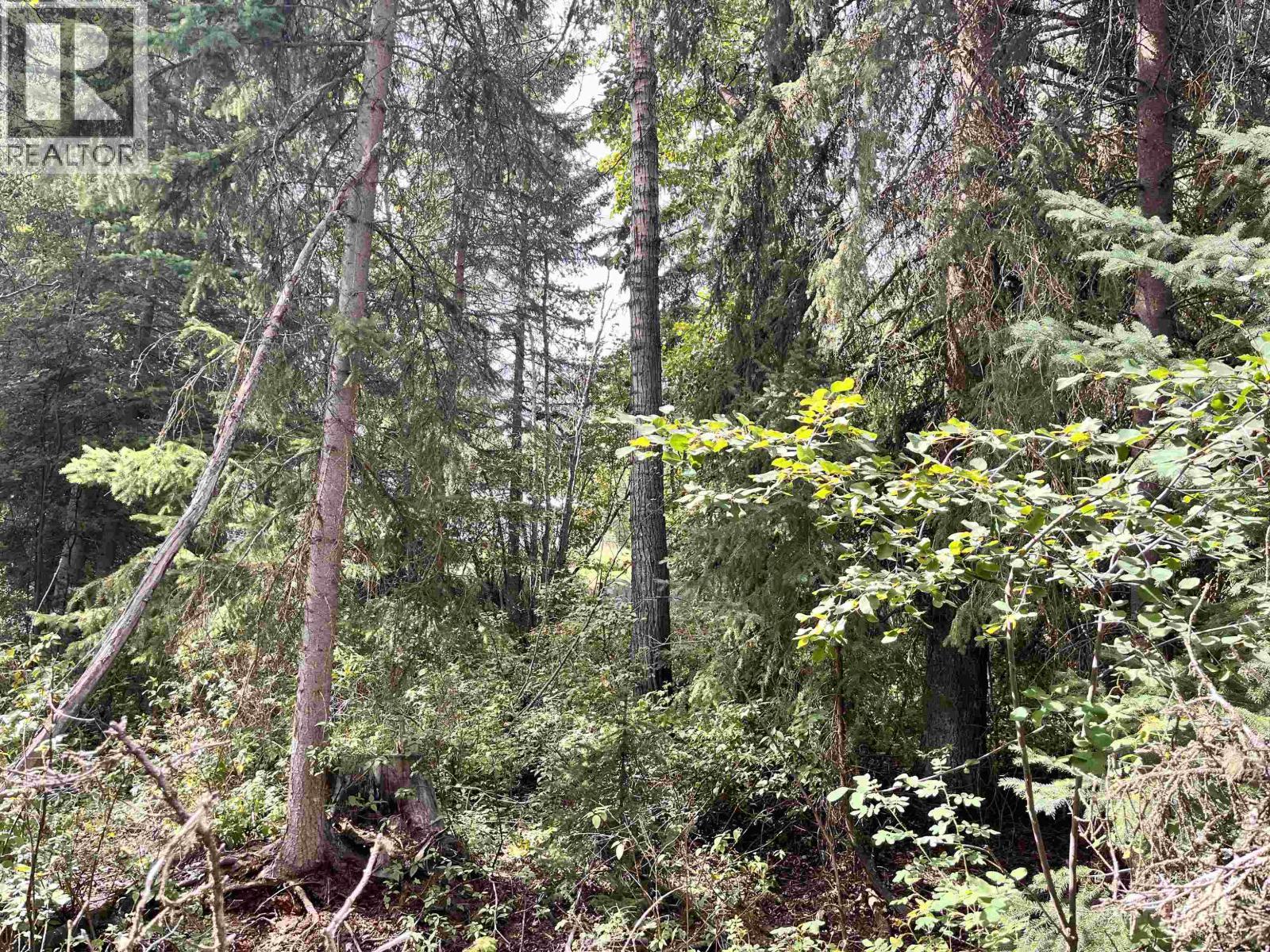 Lot 81 Mulligan Drive, Horse Lake, BC