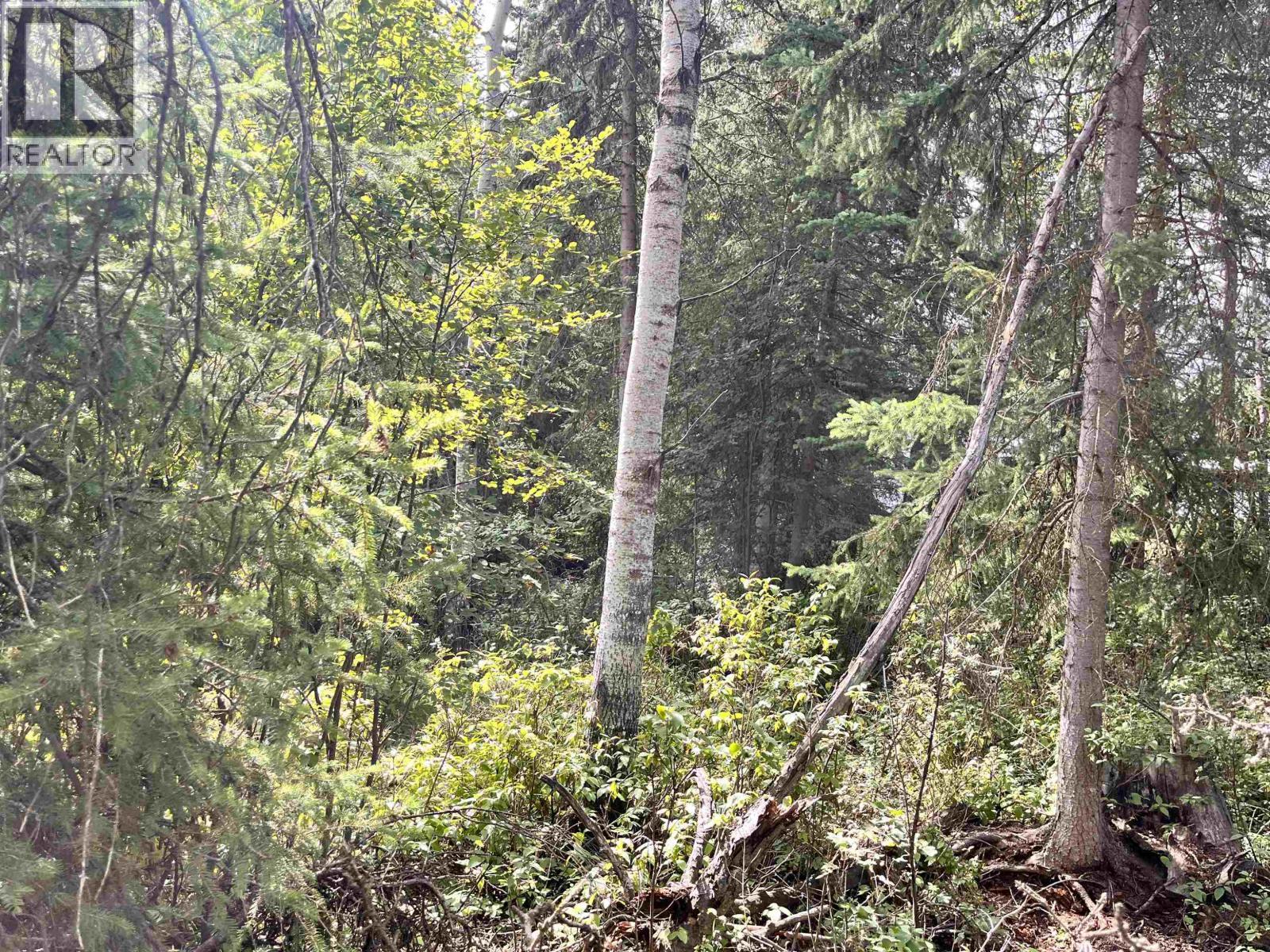 Lot 81 Mulligan Drive, Horse Lake, BC