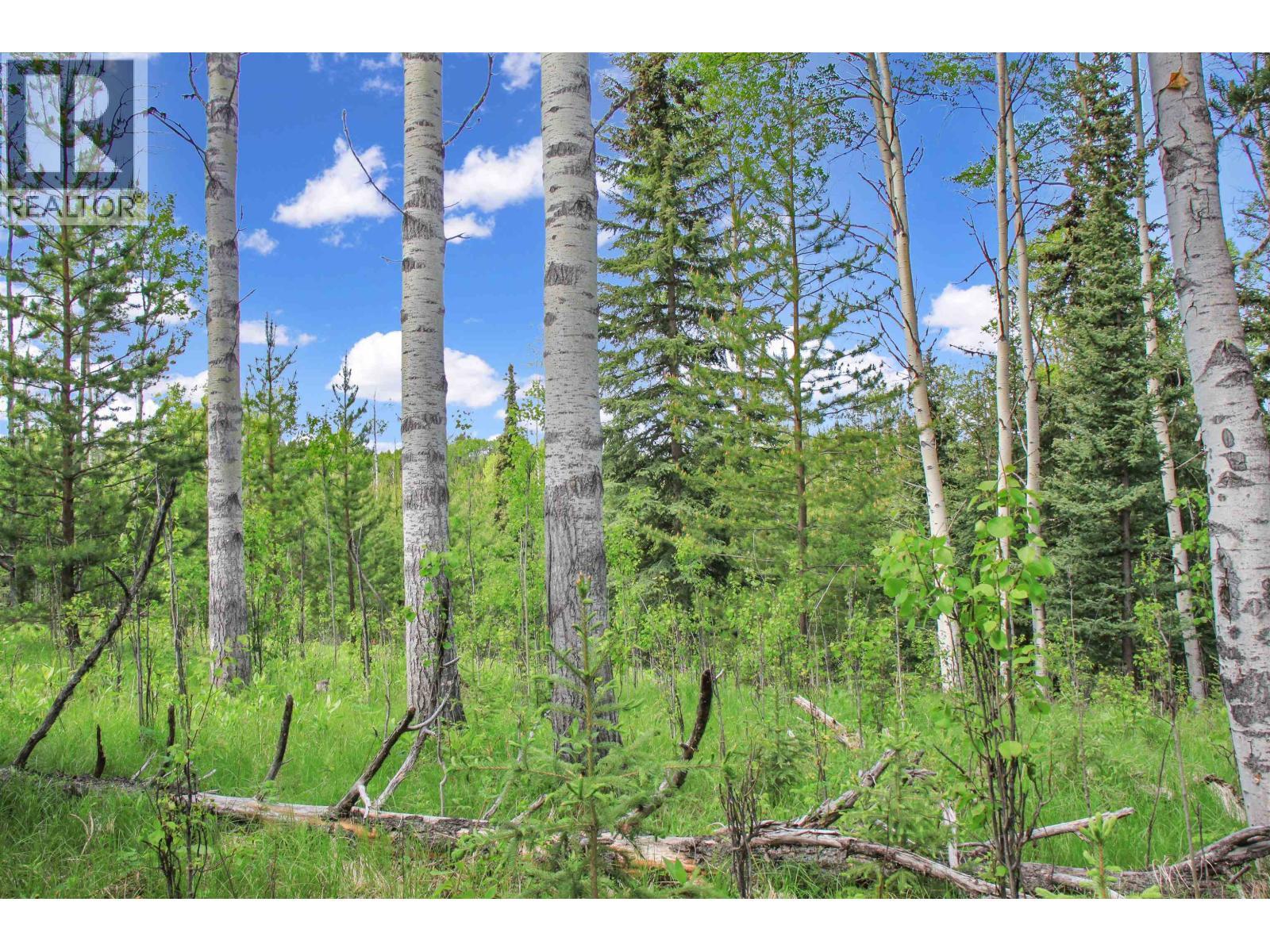 Prop Lot 19 Brown Road, Bridge Lake, BC