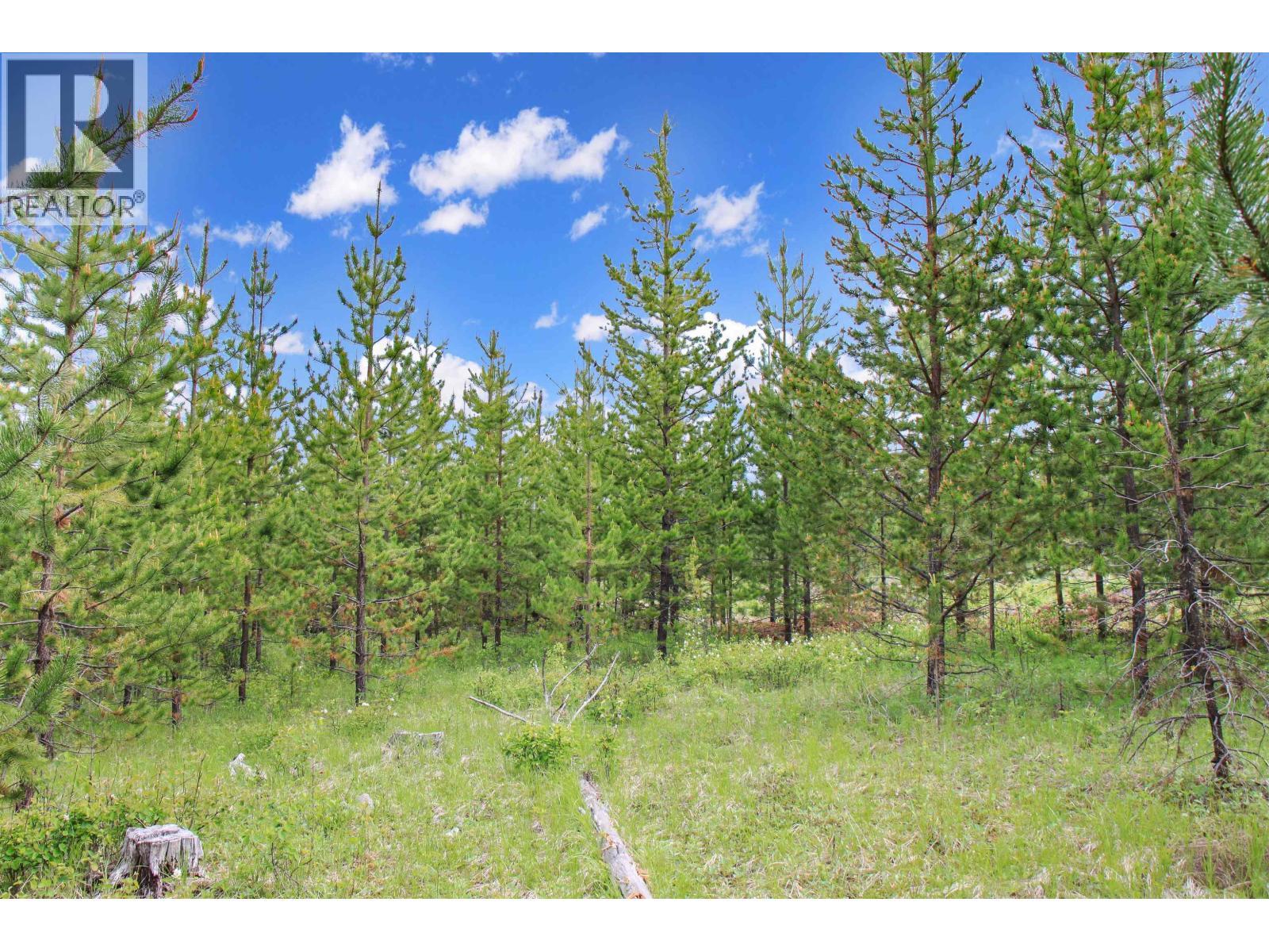 Prop Lot 19 Brown Road, Bridge Lake, BC