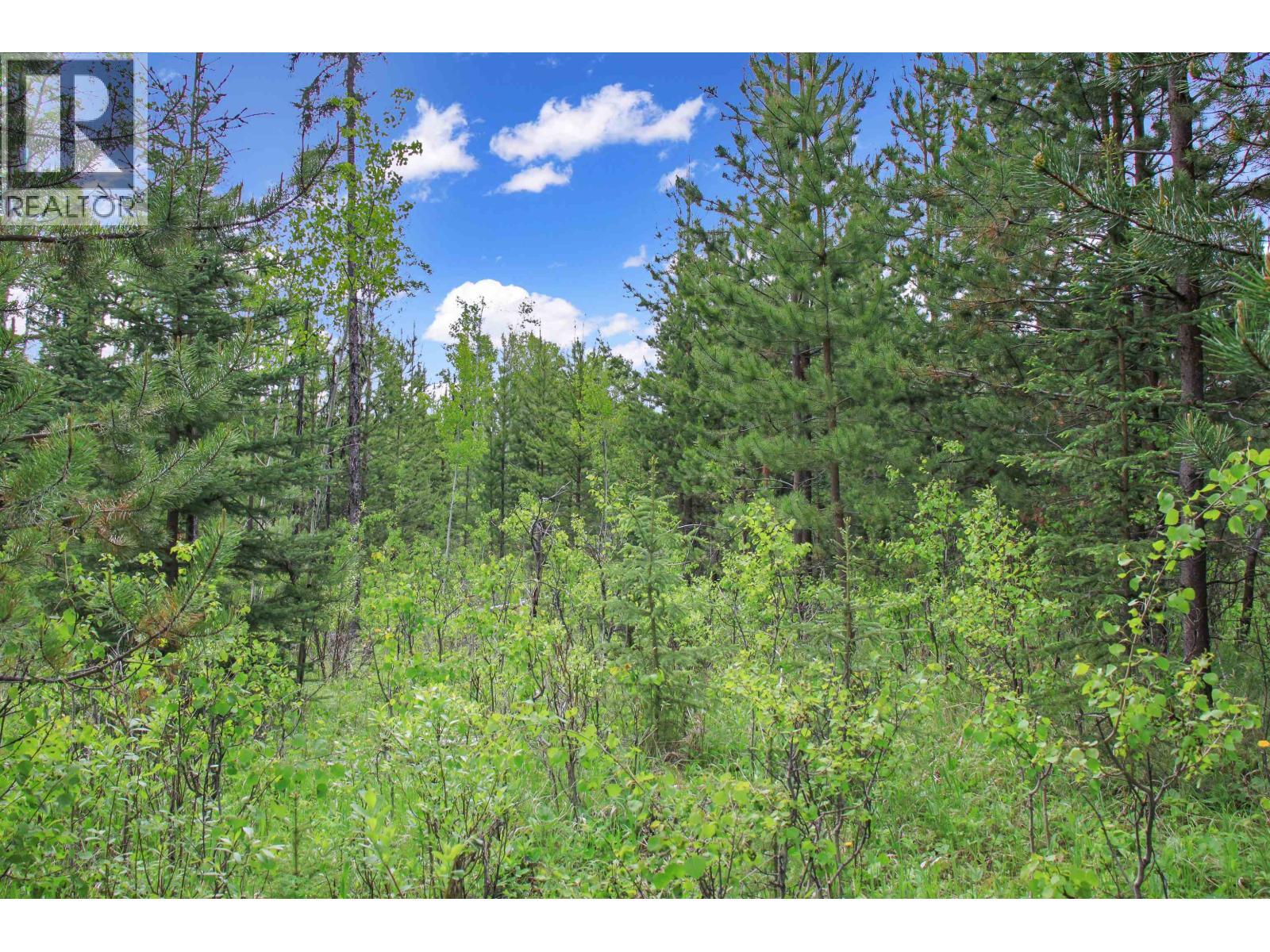 Prop Lot 19 Brown Road, Bridge Lake, BC