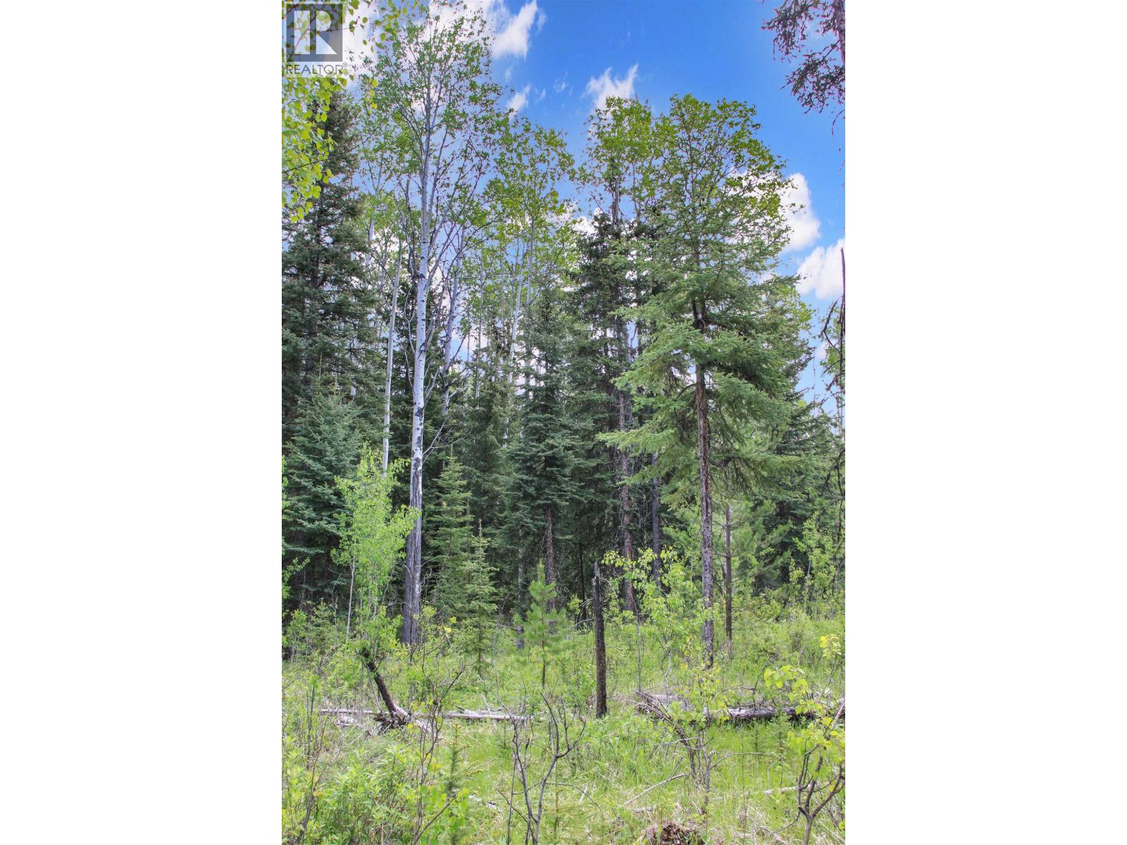 Prop Lot 19 Brown Road, Bridge Lake, BC