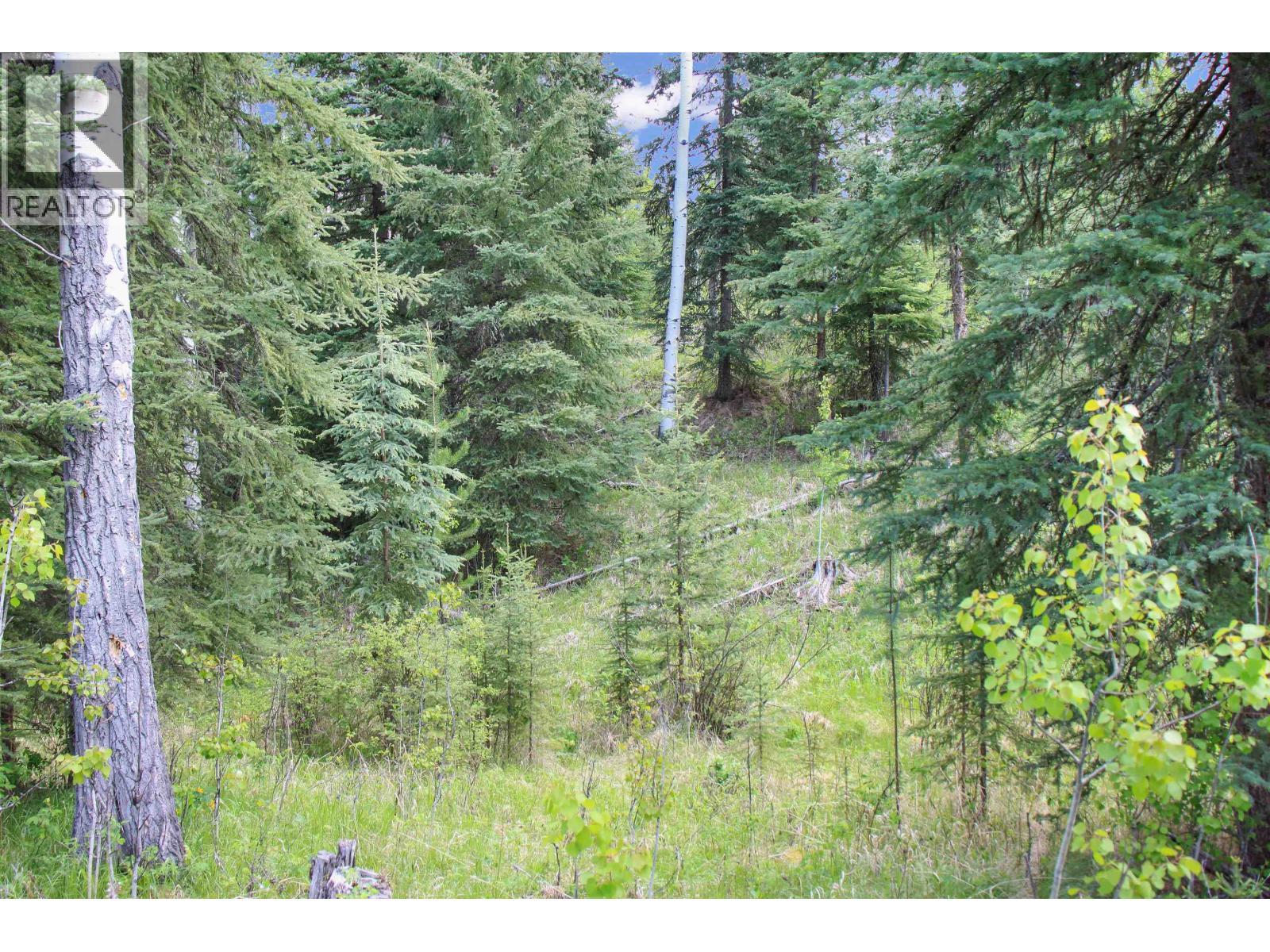 Prop Lot 19 Brown Road, Bridge Lake, BC