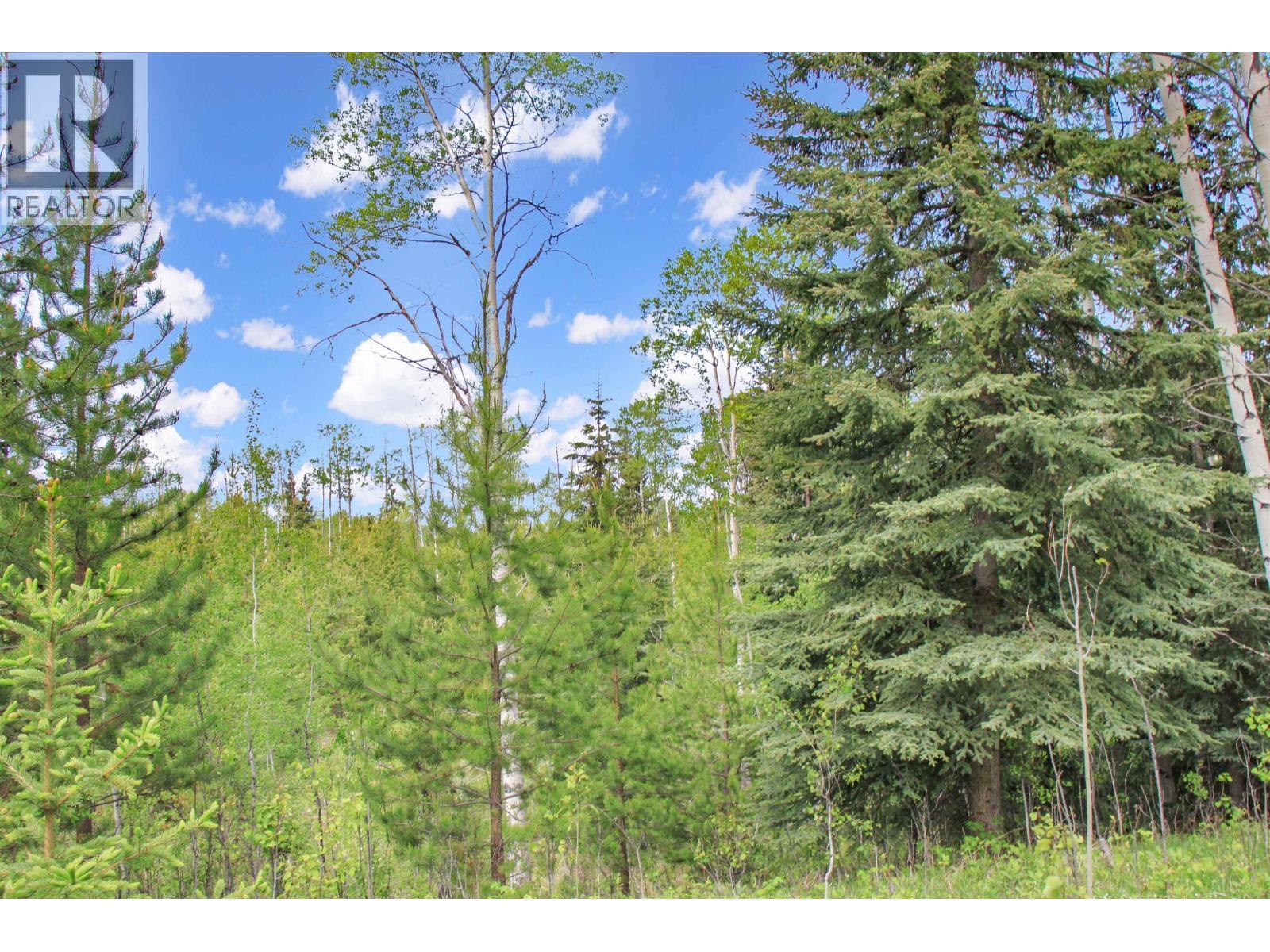 Prop Lot 19 Brown Road, Bridge Lake, BC