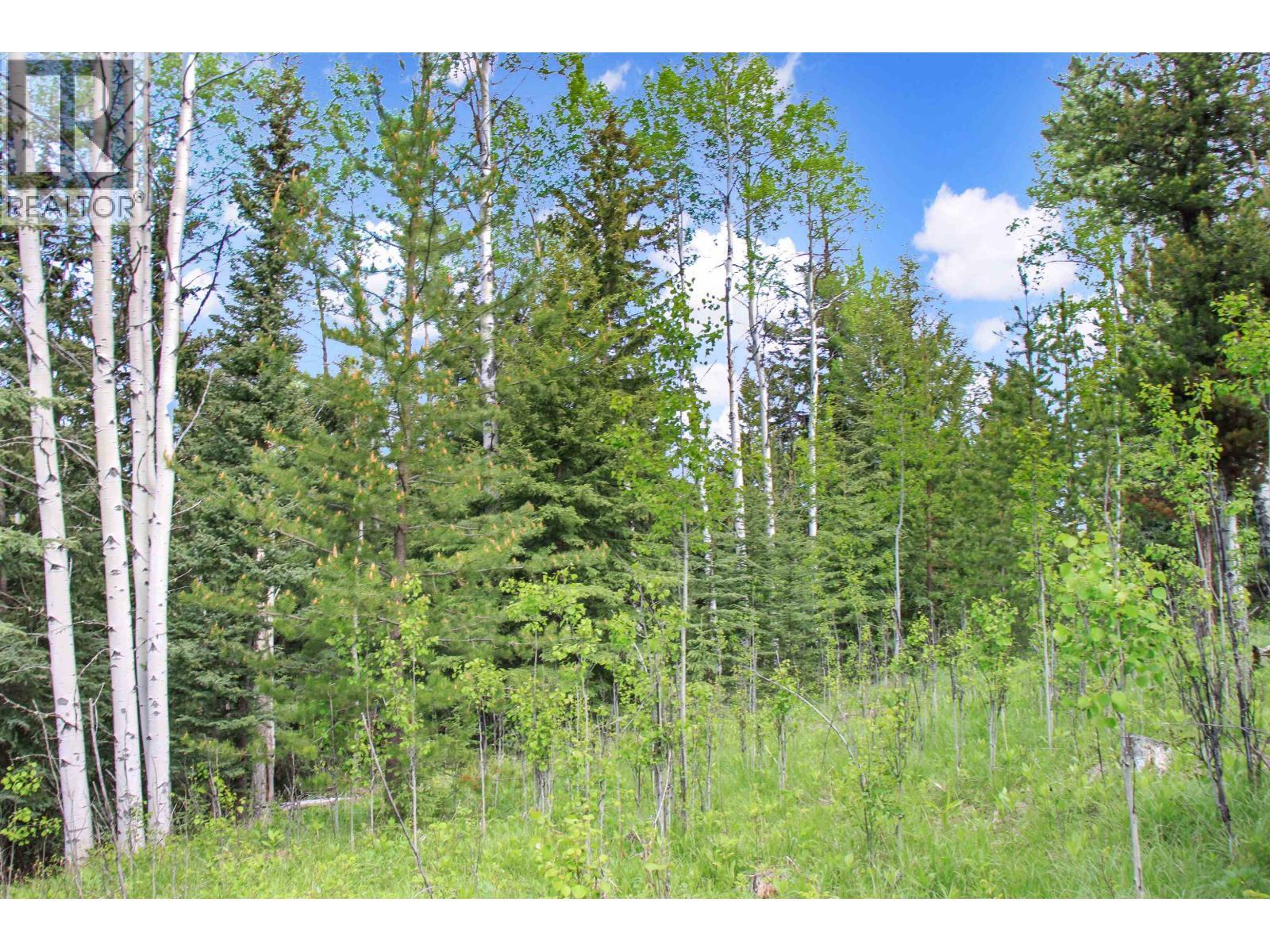 Prop Lot 19 Brown Road, Bridge Lake, BC