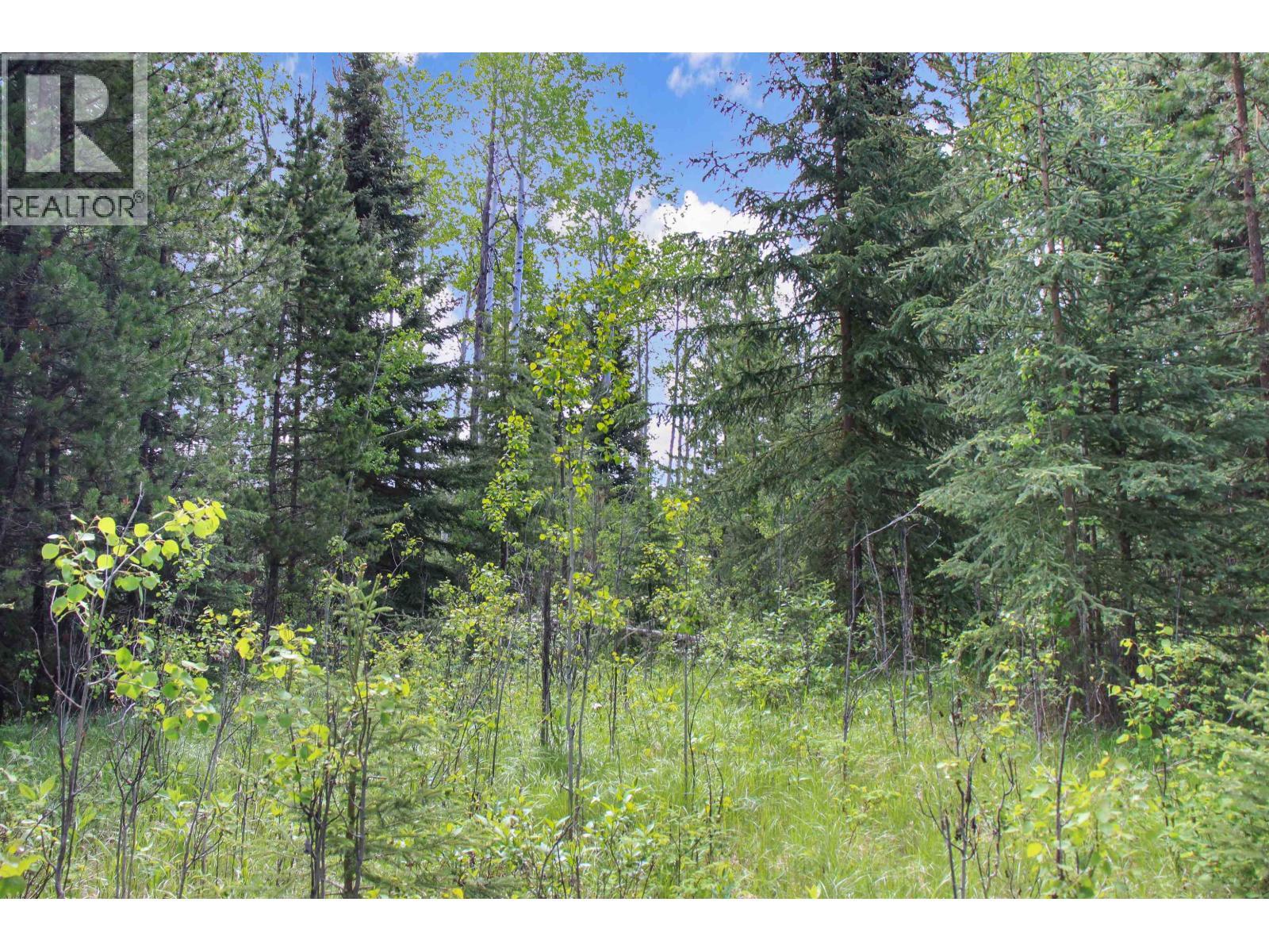 Prop Lot 19 Brown Road, Bridge Lake, BC