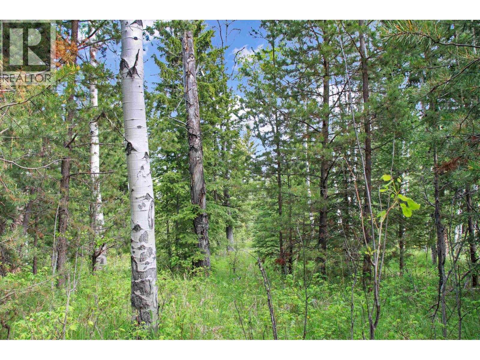 Prop Lot 19 Brown Road, Bridge Lake, BC