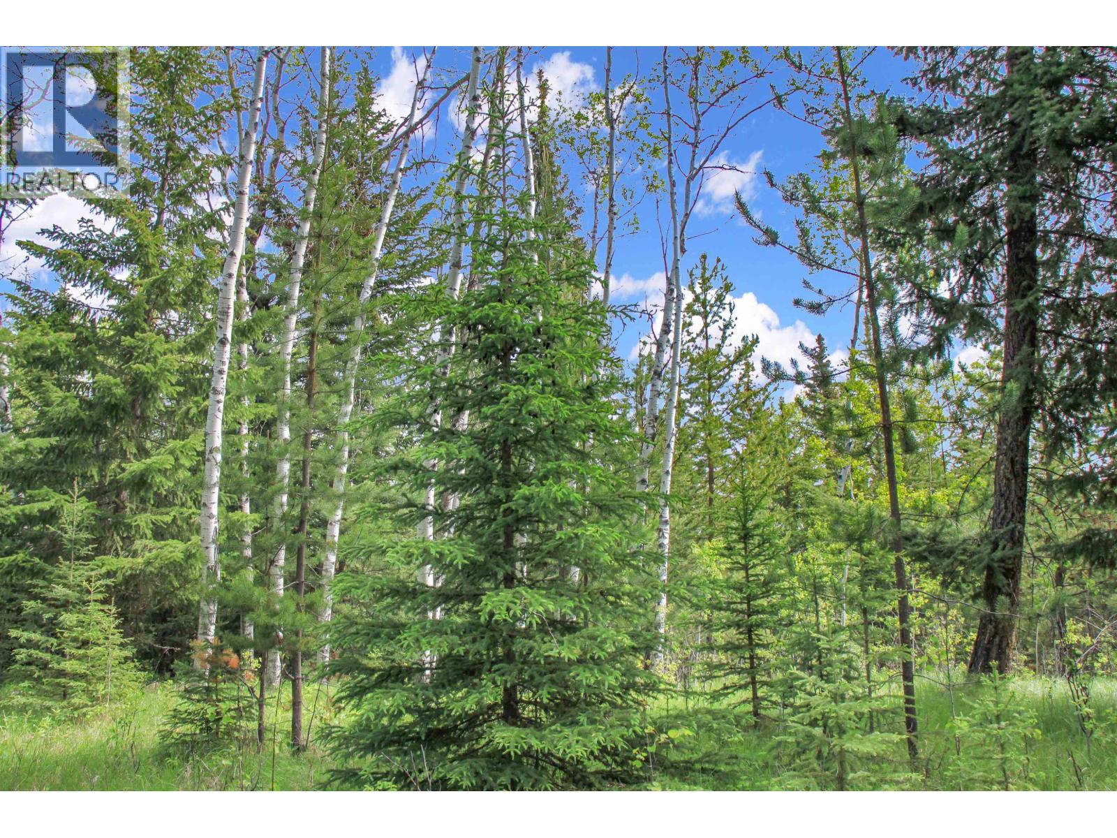 Prop Lot 19 Brown Road, Bridge Lake, BC