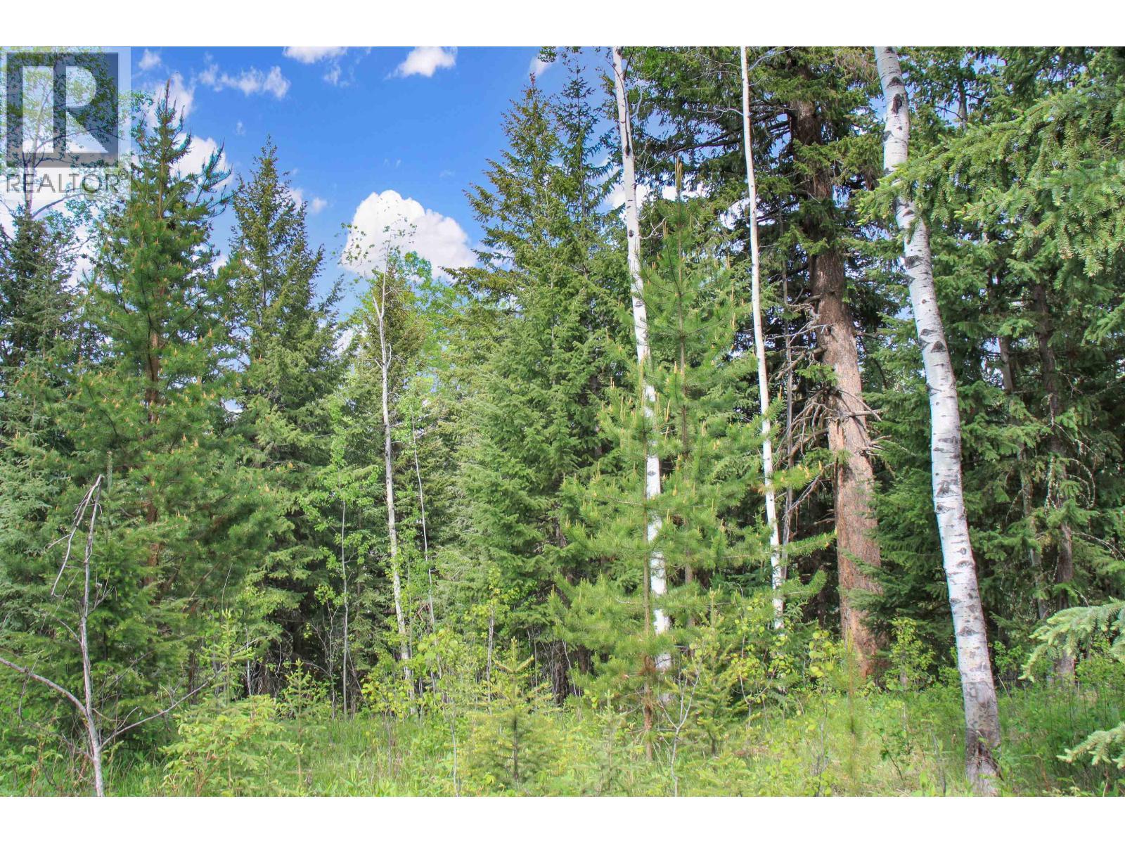 Prop Lot 19 Brown Road, Bridge Lake, BC