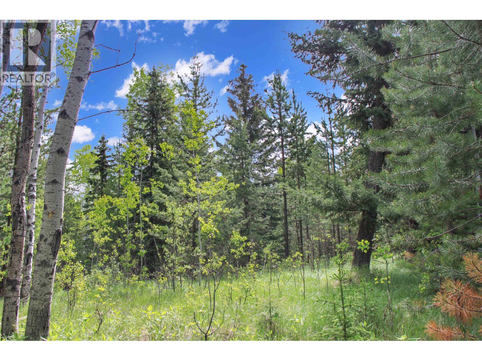 Prop Lot 19 Brown Road, Bridge Lake, BC