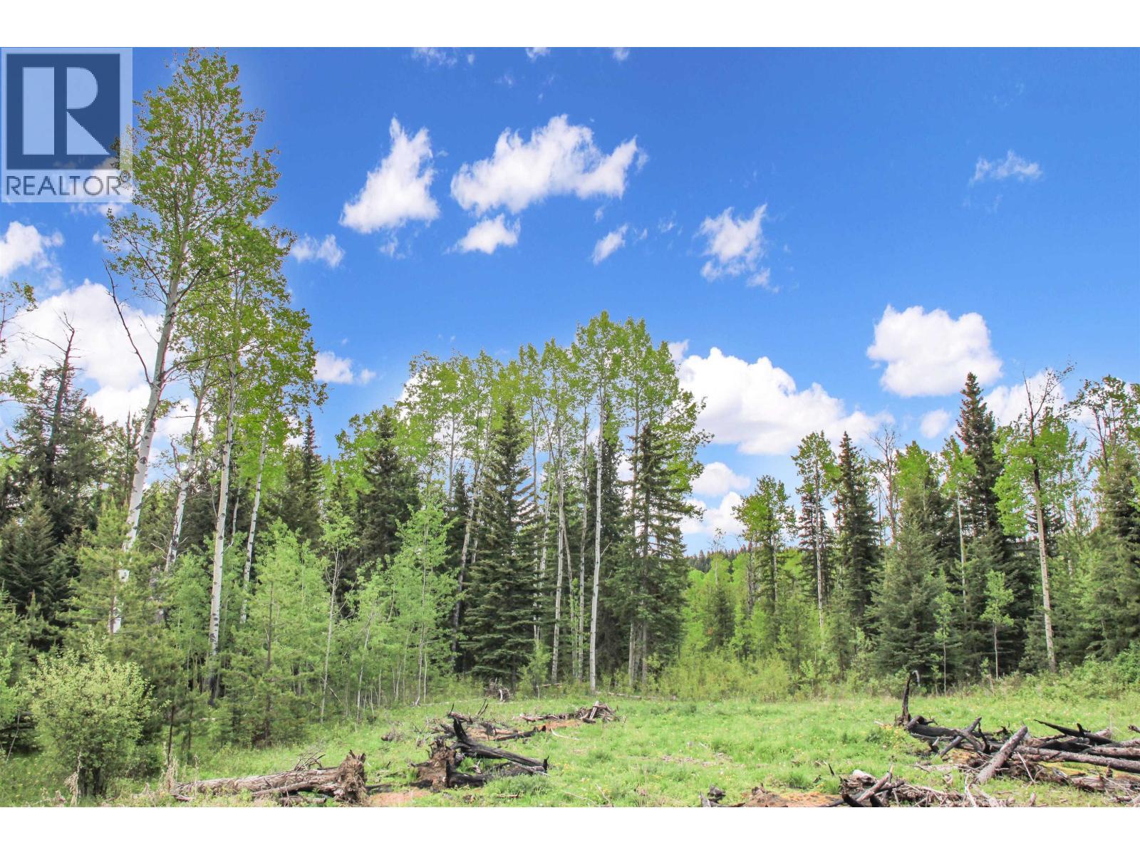 Prop Lot 19 Brown Road, Bridge Lake, BC