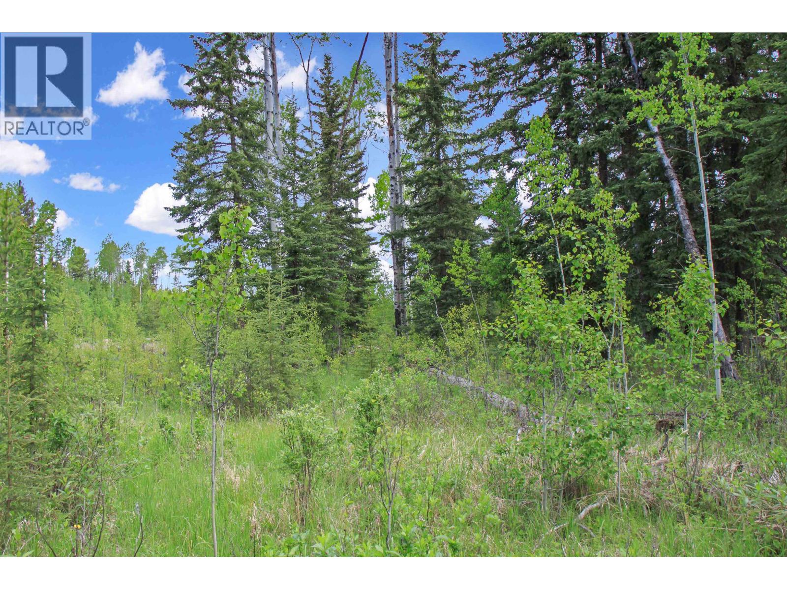 Prop Lot 19 Brown Road, Bridge Lake, BC