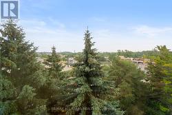 South east view of treetops -