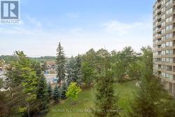 South east view of treetops -