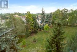 South east view of treetops -