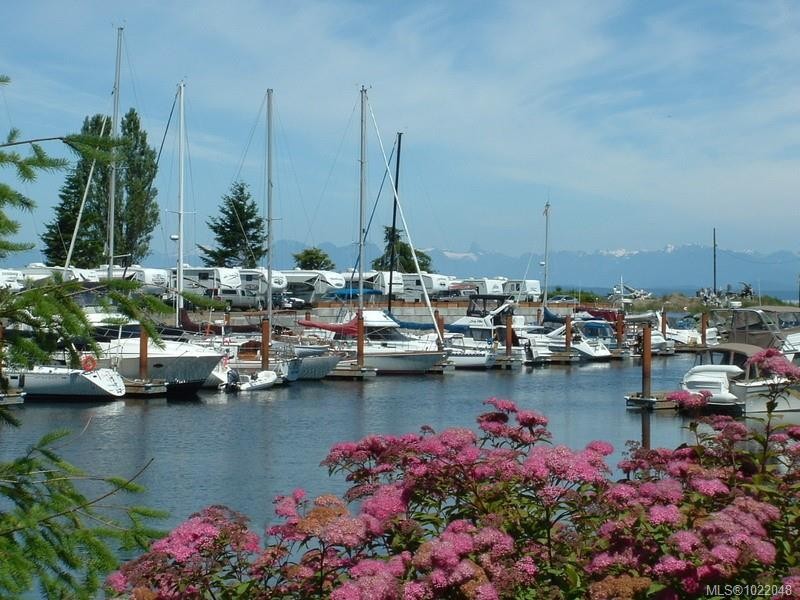 2030 Black Creek Rd, Black Creek, BC