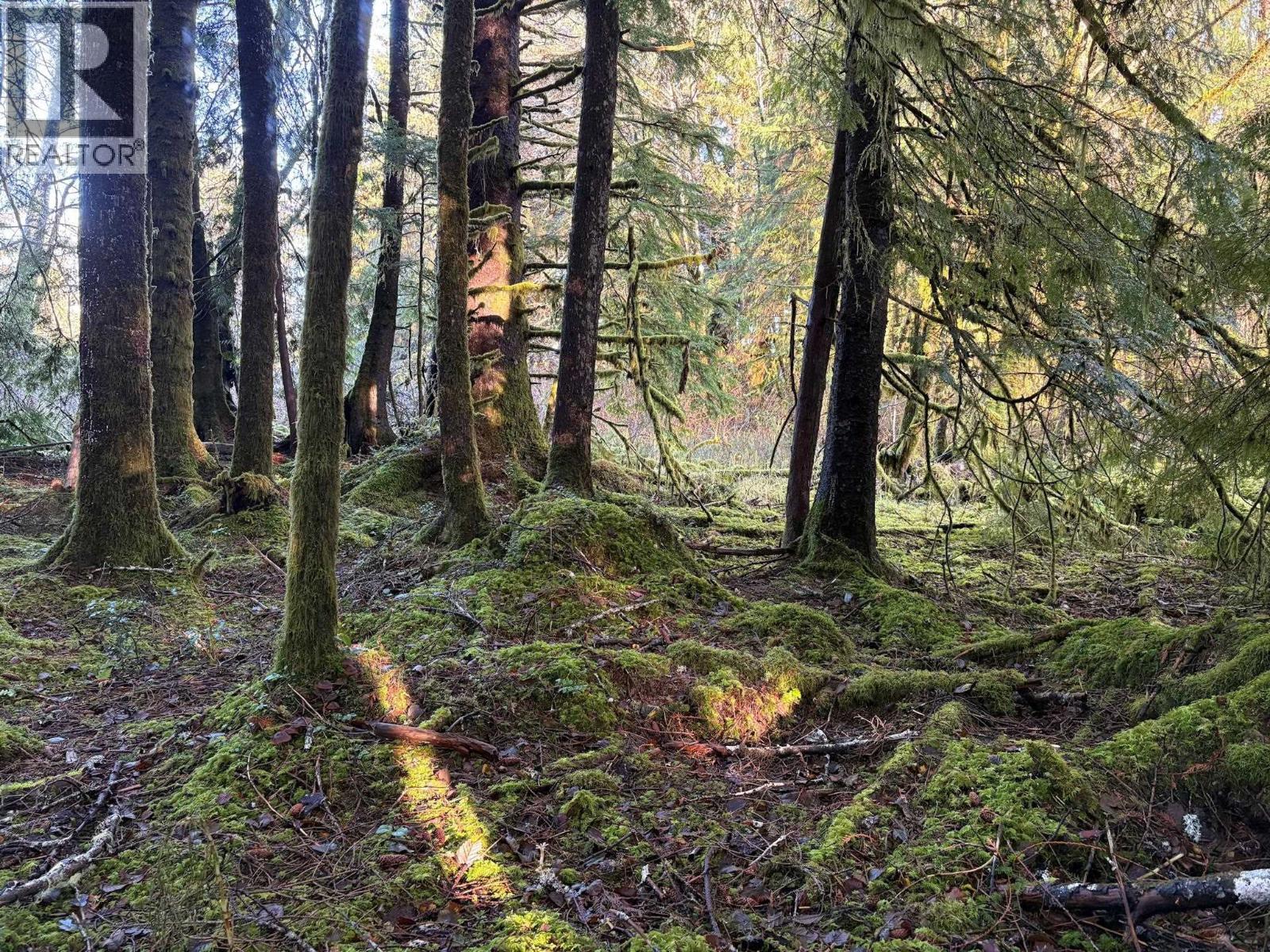 Lot-B 16 Highway, Port Clements, BC