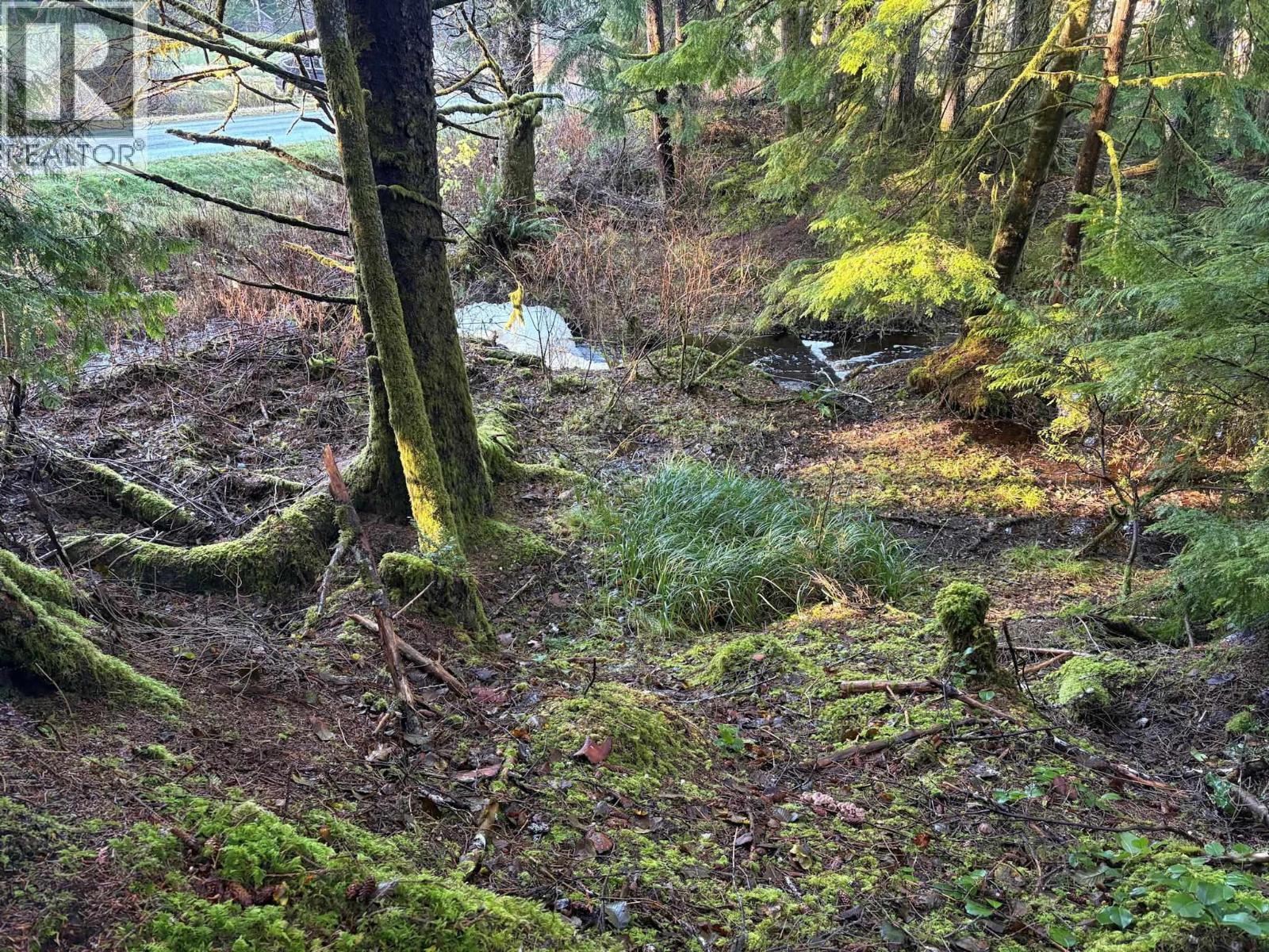 Lot-B 16 Highway, Port Clements, BC